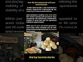 From 52 LPA corporate job to ₹5 crores momos business | Momos mania #businessgrowth #successstory