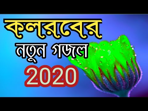 bangla-new-gojol-2020-kolorob-|-new-islamic-bangla-song-2020-kolorob-|-new-gozol-2020-kolorob-|