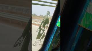 Lady Truck Driver Bony .. @IndianCoupleTruckDriver #viral #truckesvlogs #subscribe