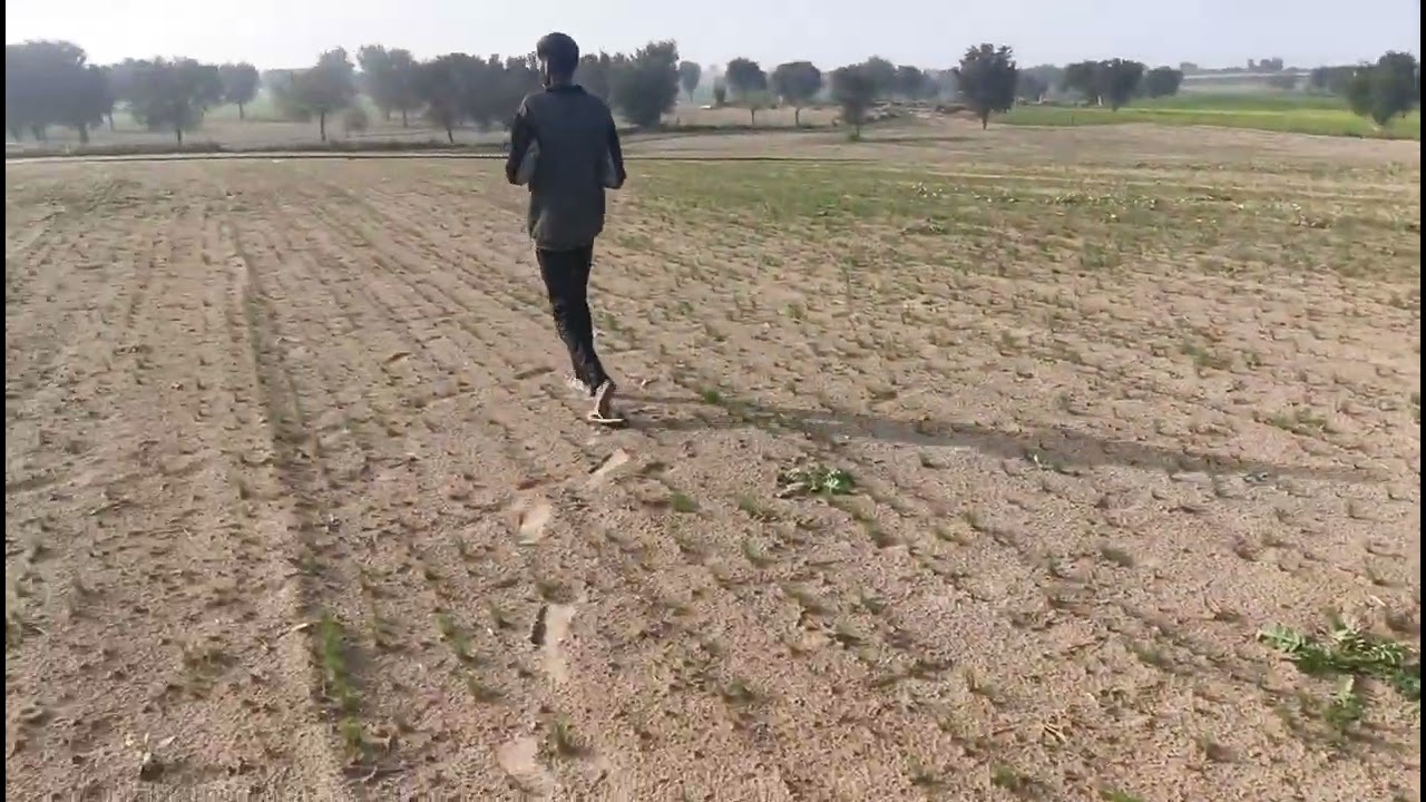 Bikaner se 22 km dur ktan ke raste par  22 biga brani jamin bikau h rs 3.50 lakh par biga 9610056834