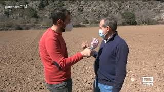 Los corzos campan a sus anchas en los campos de Pelegrina | Ancha es Castilla-La Mancha - CMM