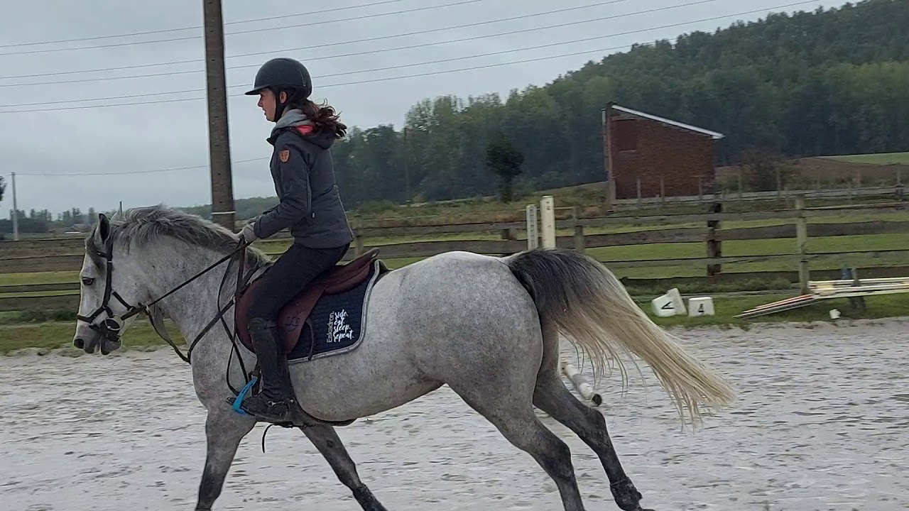 29 septembre 2020. Zora et Just.  entraînement Peronnes