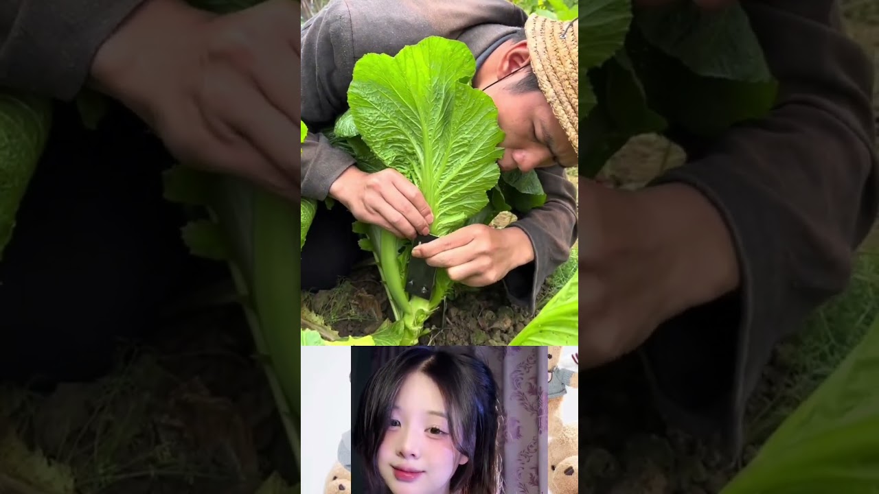bundle of vegetable branches 