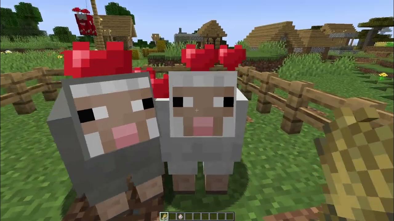 What Do Sheep Eat Minecraft YouTube