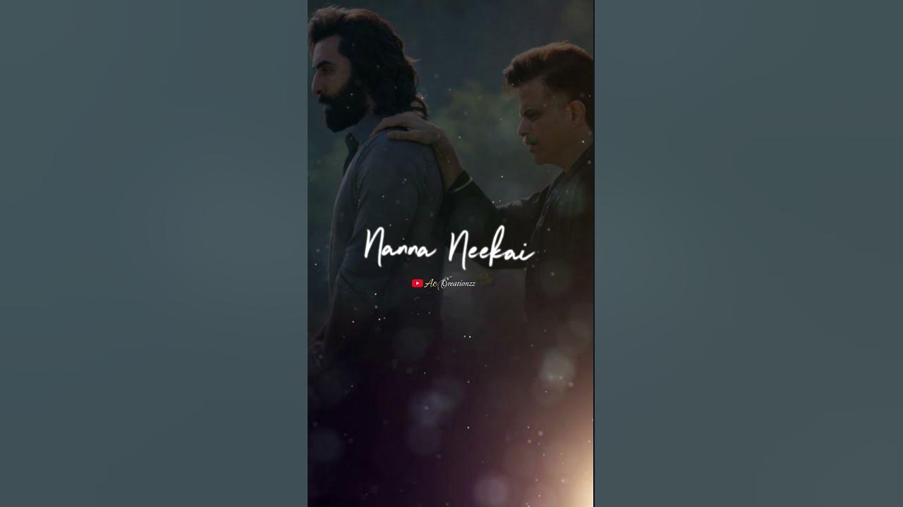 ✨💝Nanna Nuv Naa Pranam✨💝 Song  Whatsapp Status Lyrics #animal #ranbirkapoor  #animalmoviesongs