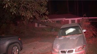 Trees crush 2 homes in southwest Atlanta; one person hurt
