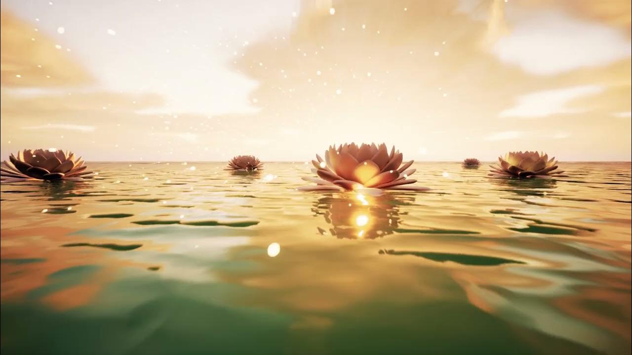 lotus floating background video - YouTube