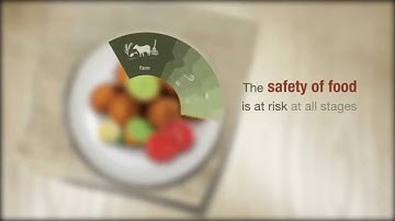 WHO-EMRO: From farm to plate, make food safe