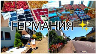 МЕДИЦИНСКОЕ обследование 👨⚕️ ГЕРМАНИЯ 2022 г.