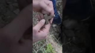НАШЛИ РИМСКИЙ КЛАД !