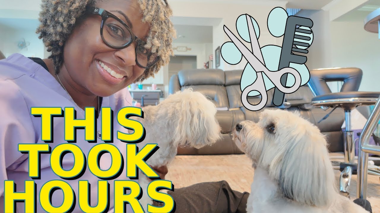 DIY Dog Grooming Day | Bath, Blow Dry, Trim, Repeat