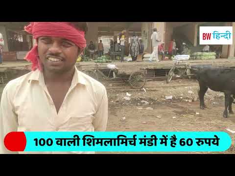 What is the price of 100 rupees a kg vegetable in the market in the market? see report