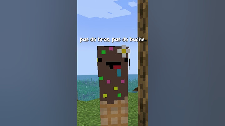 Possible de Finir Minecraft sans Bras ?..
