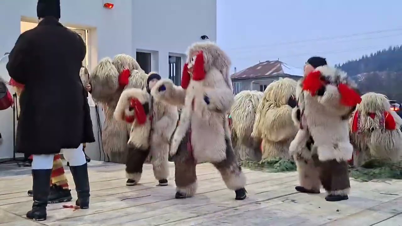 Ceata din Bogdănești, Suceava