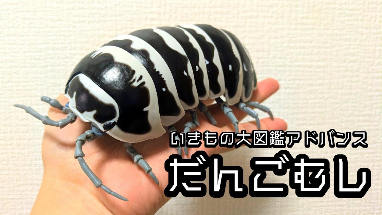 【神ガチャ】年末はやっぱりダンゴムシでしょ！！【いきもの大図鑑アドバンス・だんごむし】