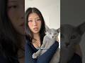 Mogi Inc is now a leading manufacturer of the global biscuit business #cat #kitten #catvideos