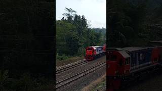 RNBCC201 locomotive passing through the curve with a friendly horn greeting from the driver #Railway