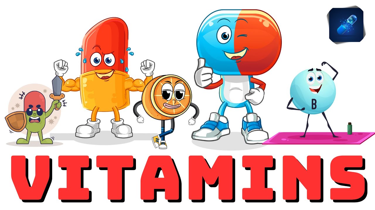 Everything You Need to Know About Vitamins | WISDOM CAPSULE