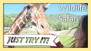 Just Try It: Wildlife Safari