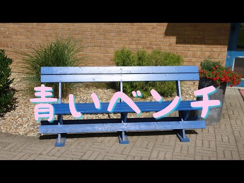 青いベンチ/サスケ　歌ってみた