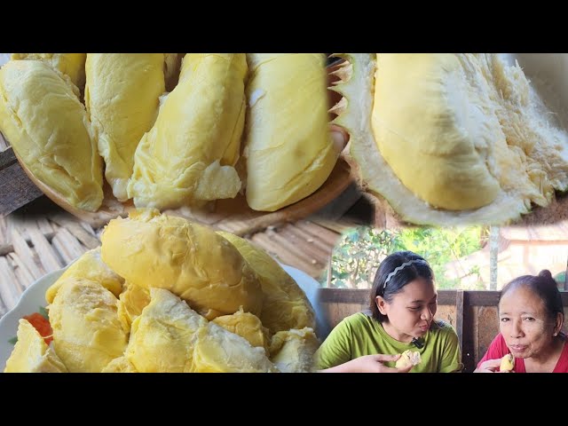 Delicious Durian 😋😋 အမိုးအရမ်းစားချင်တဲ့ဒူးရင်းသီးနဲ့  မွန်ထောင်းသီးကို အမိုးနဲ့အတူတစ်ဝကြီးစားမယ်😋😋🤗 class=