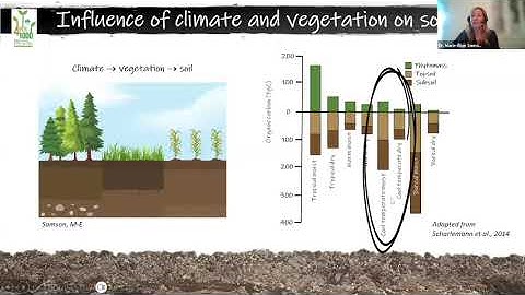 "4 PER 1000" SOIL CARBON SCIENCE WEBINAR SERIES #6 "No-Till Agriculture and Soil Carbon Storage"