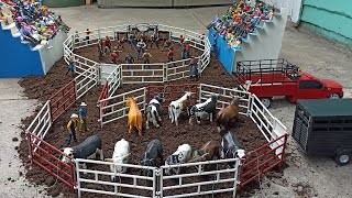 Mini Jaripeo Los Trotamundo haciendo de las suyas🔥