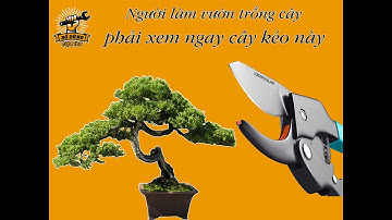 Người làm vườn trồng cây phải xem ngay cây kéo cắt tỉa cành này