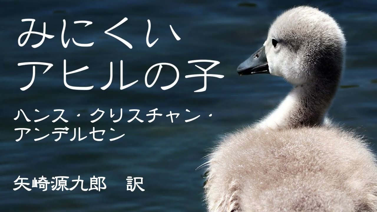 朗読『みにくいアヒルの子』ハンス・クリスチャン・アンデルセン 矢崎