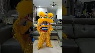 Lion dance training at home