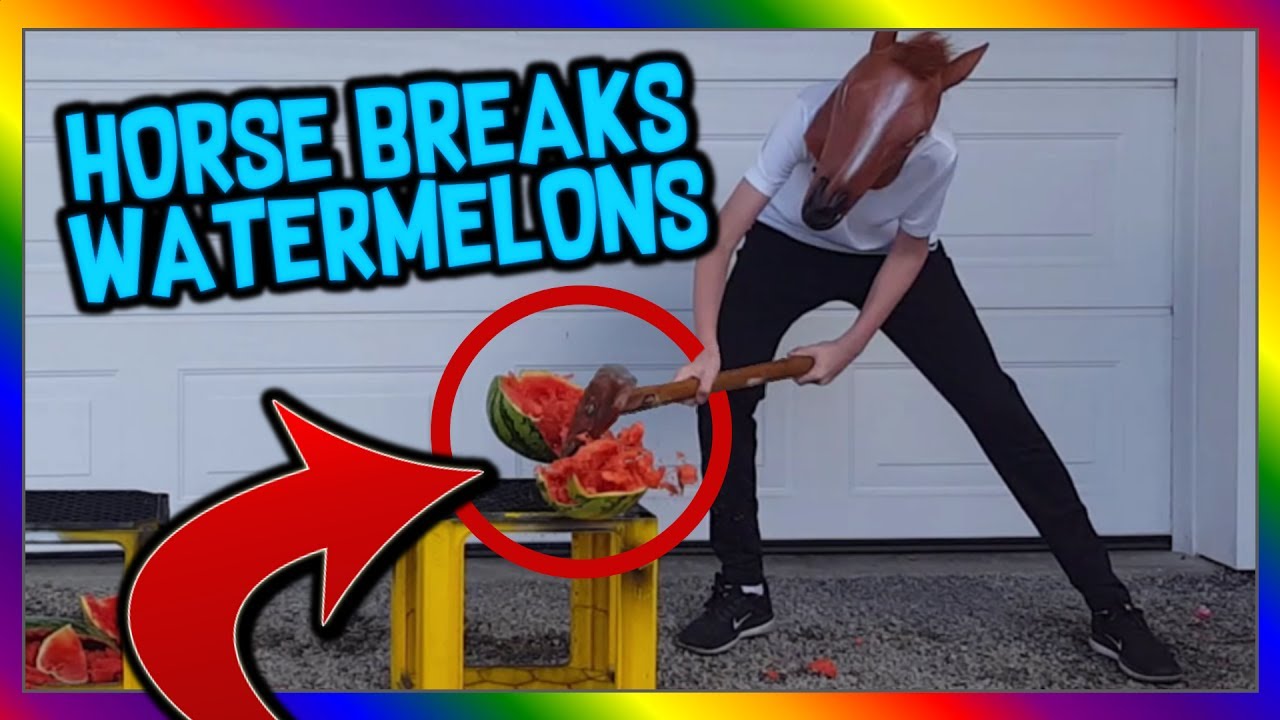 Horse Breaks Watermelons YouTube
