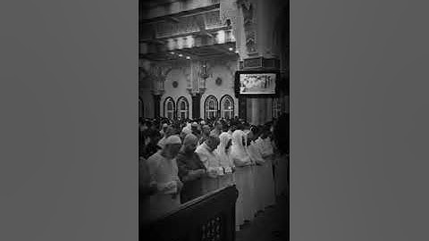 مقطع من سورة الرحمن | معاذ العيد