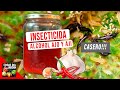 INSECTICIDA ALCOHOLICO DE AJO Y CHILES - DURA 6 MESES - PULGON, MOSCA BLANCA, CHINCHE, ORUGAS