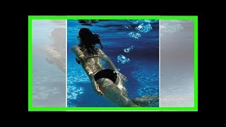 Voici Quelques Faits Surprenants Sur Les Pets Dont Vous Navez Jamais Entendu Parlé