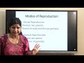 Class 8 Science Reproduction in animals(part 1)