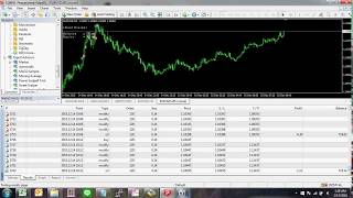 sWeet Scalper 2016 EA Forex Robot