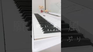 「願い風/すとぷり」弾いてみました🙏🏻#すとぷり #stpr #ピアノ #弾いてみた にこにこぴあの