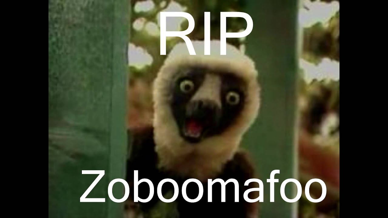 RIP Zoboomafoo - YouTube.