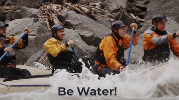 The Adaptability Quotient: To Adapt, Grow and Thrive, Be Water