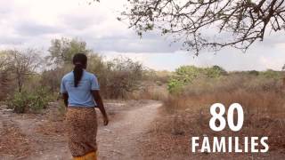 Herois Ativistas Caritas Alemanha