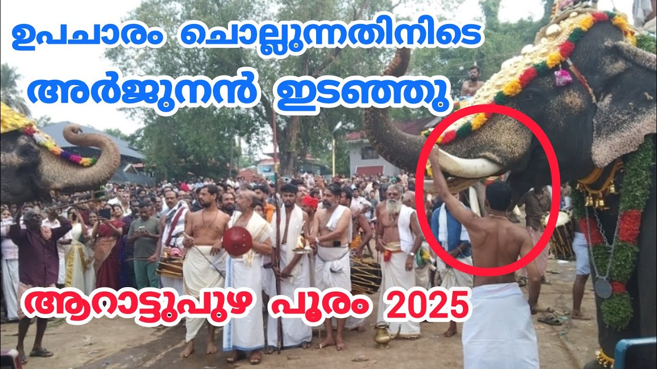 ഉപചാരം ചൊല്ലുന്നതിനിടെ അർജുനൻ തെറ്റി | Puthuppally Arjunan | Arattupuzha Pooram 2025