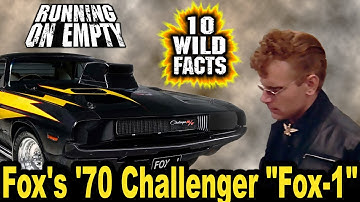 10 Wild Facts About Fox