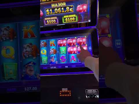 Jugando en el casino acuario