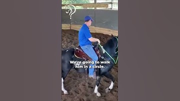 Quick Tips To Gain Confidence With Your Horse! | The Horse Guru-Michael Gascon