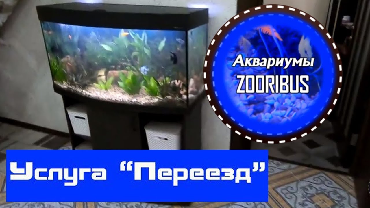 Услуга \"переезд аквариума\" - YouTube
