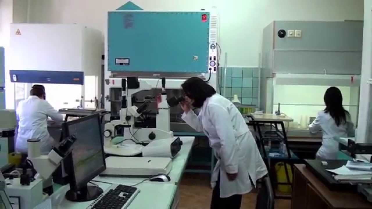 Economic Potential of Uzbekistan 