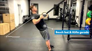 TRX Row (Rudern, Ringe, rings)