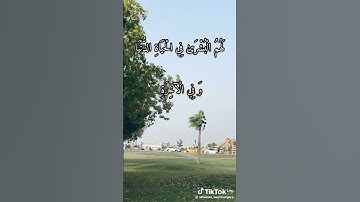 (الا ان اولياء الله لا خوف عليهم ولا هم يحزنون) من سورة يونس