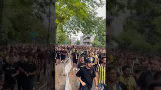 Austria Wien - Fenerbahçe Çe