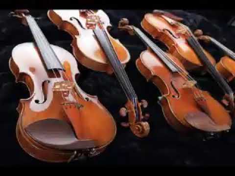 فين طريقك مع العملاق محمد عبد الوهاب